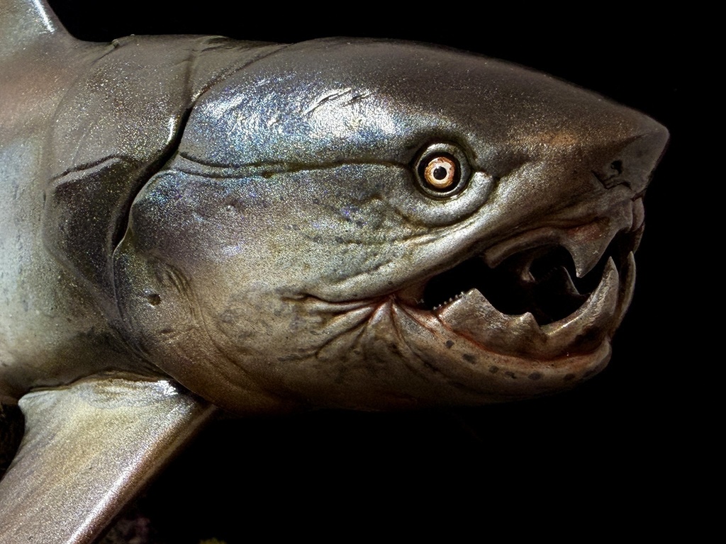 ゴルゴニクティス