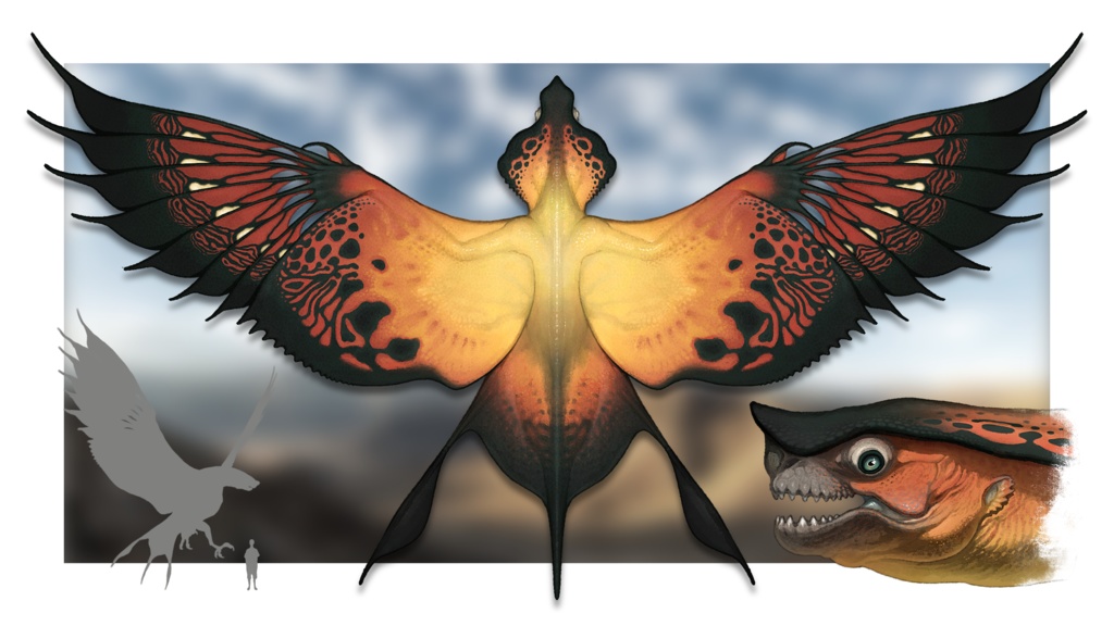 レッド・クルール　特殊印刷イラスト