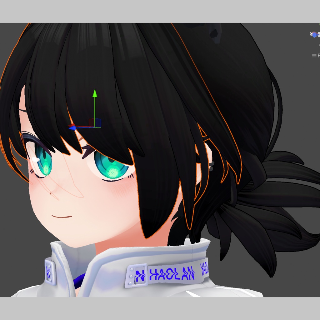 【ハオラン対応】黒髪ローポニー