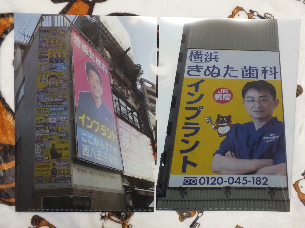 【匿名配送】きぬた歯科看板クリアファイル Ver.2