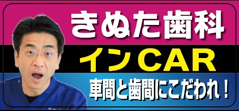 【普通郵便配送】車間と歯間にこだわれカーステッカー new version
