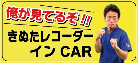 【匿名配送】きぬたレコーダーカーステッカー new version