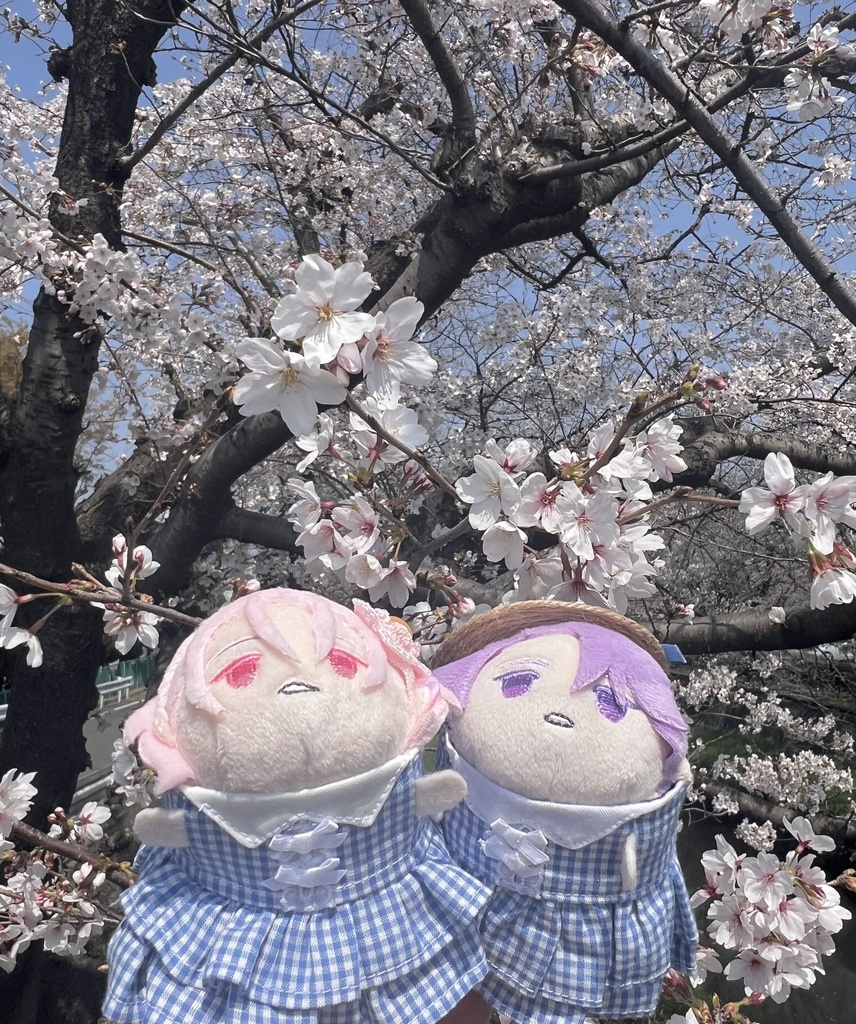 ダブルフリルわんぴーす