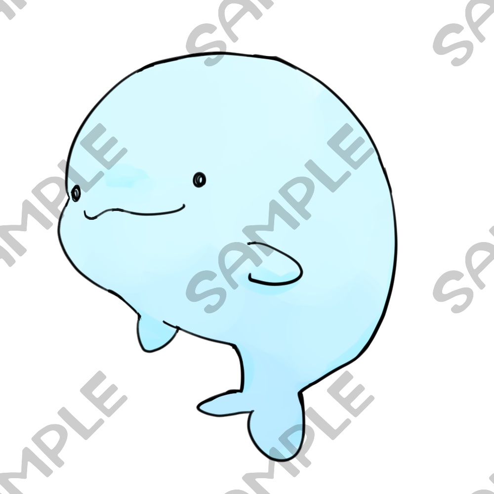 ゆるいイルカ10種