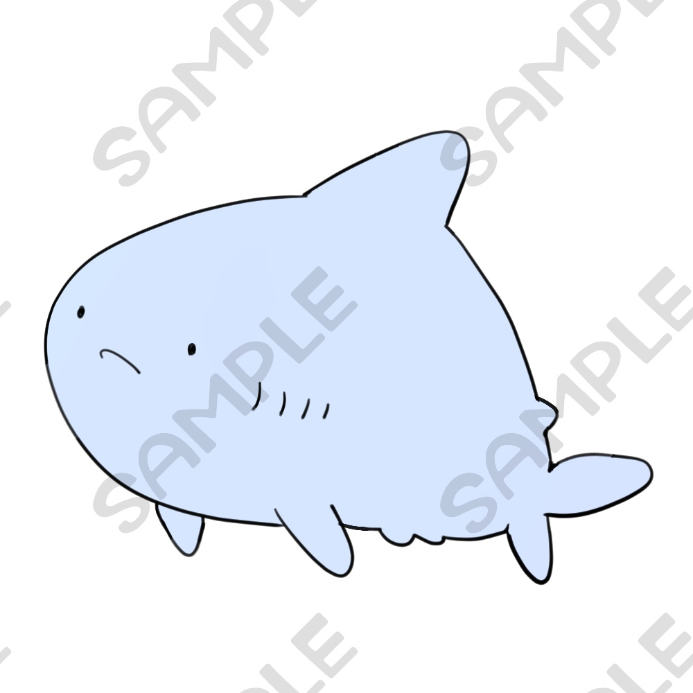 海の生き物10種類