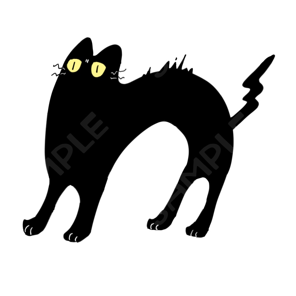 目つきの悪い黒猫10種