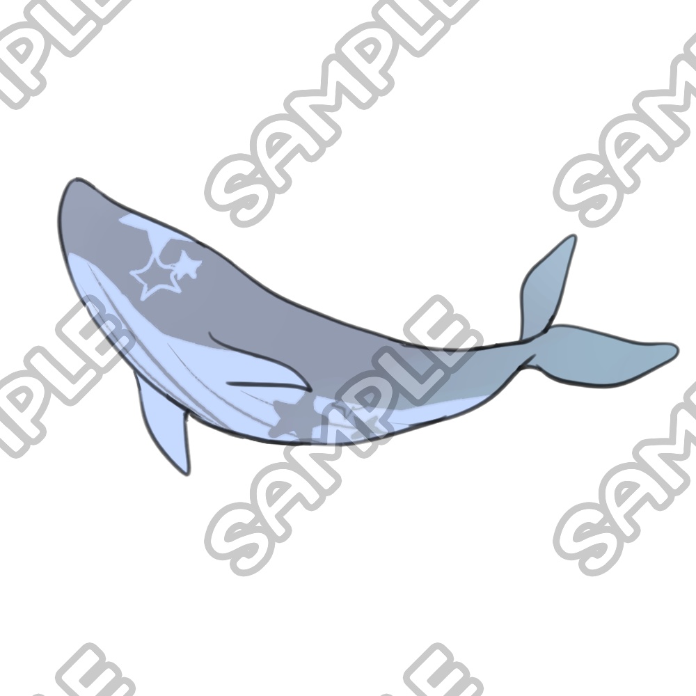 星空×海の生き物 10種