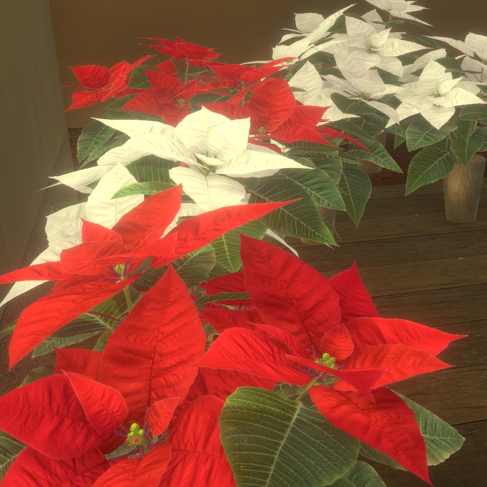 【VRChat想定】ポインセチア鉢植え3Dモデルセット