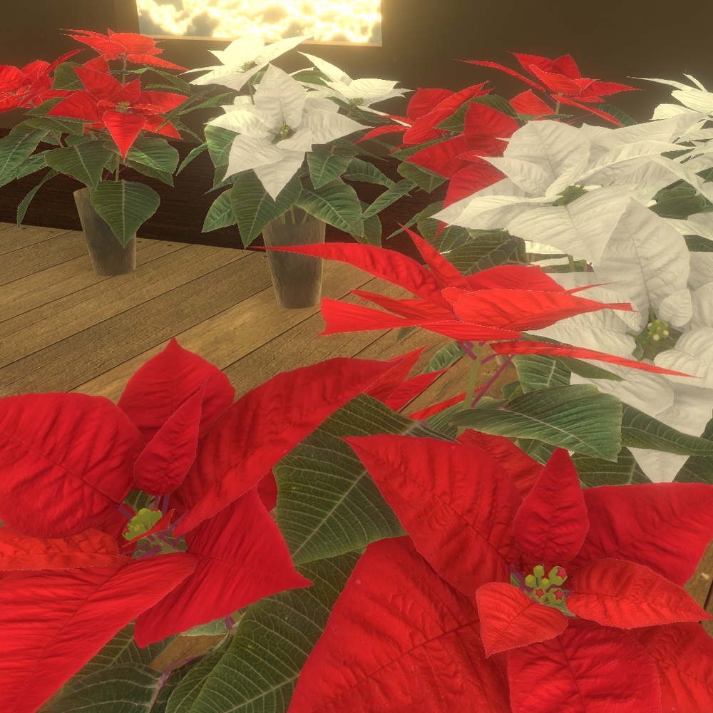【VRChat想定】ポインセチア鉢植え3Dモデルセット