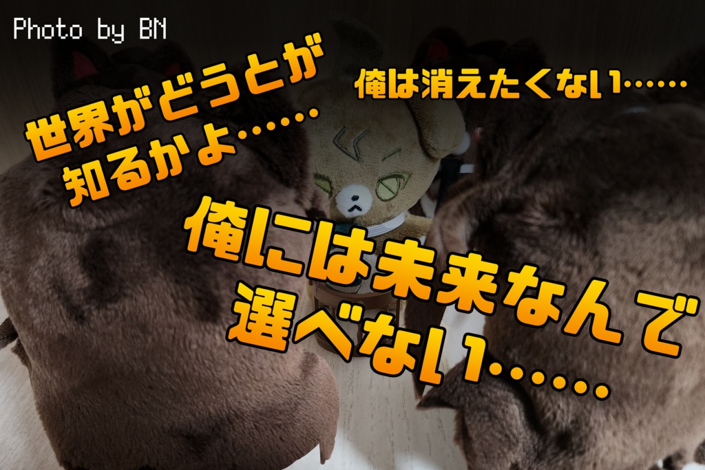 🤍白黒にゃんにゃん🖤