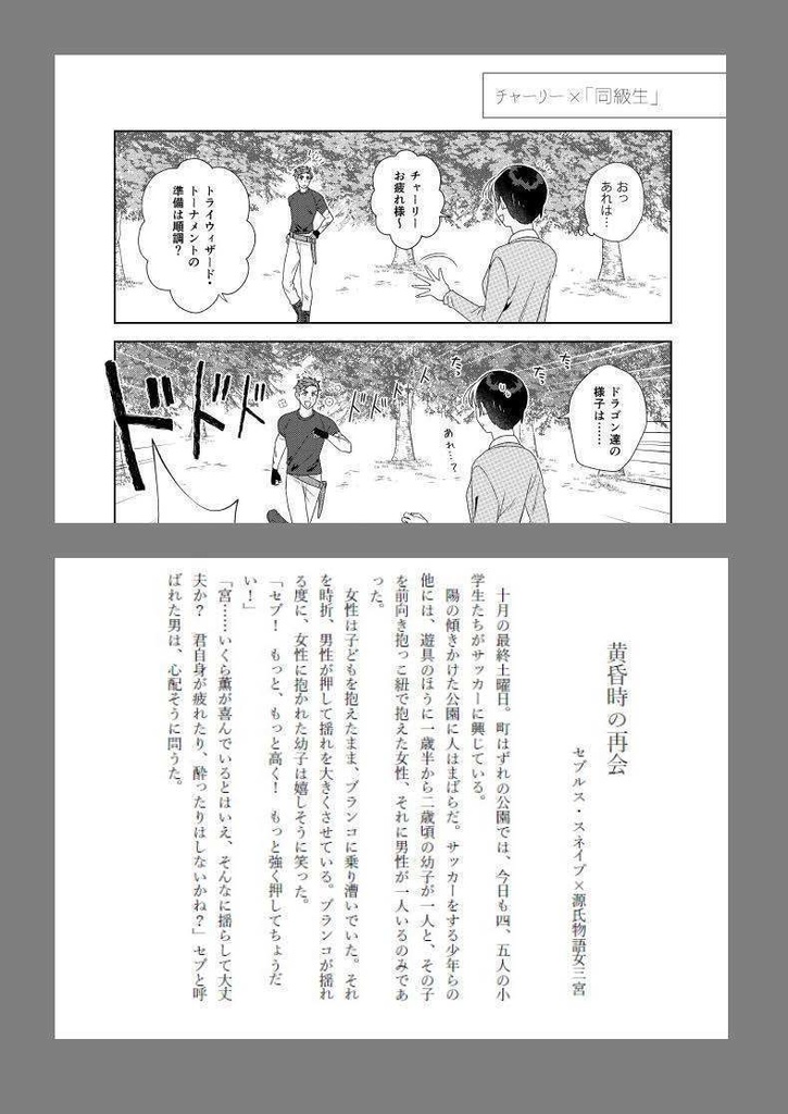 【PF版】HPシリーズ夢創作アンソロジー「We Love Wizards!」