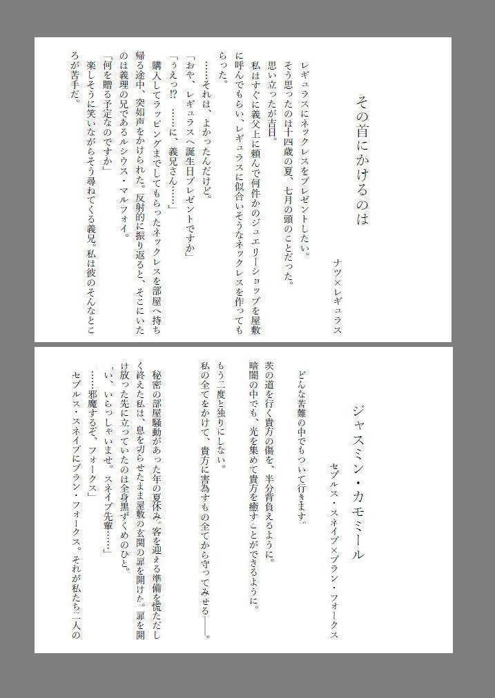 【PF版】HPシリーズ夢創作アンソロジー「We Love Wizards!」