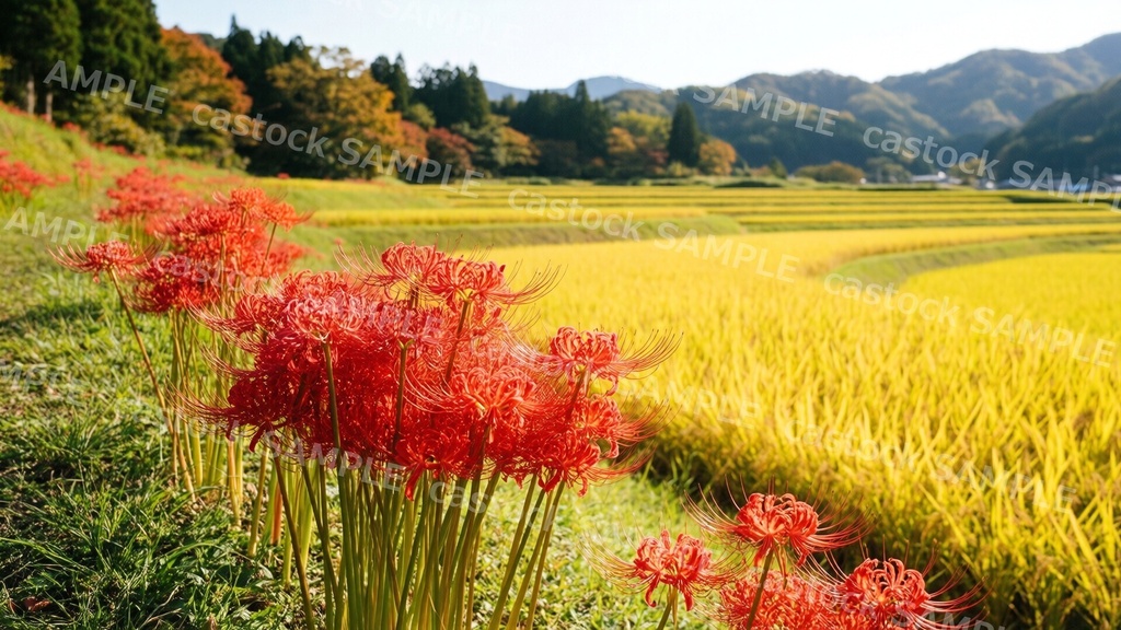 【AI背景素材】日本の里山・田園 26枚セット|写真風・人物なし・商用OK|castock