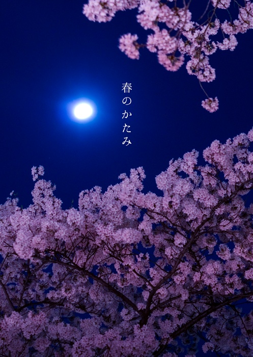 春のかたみ