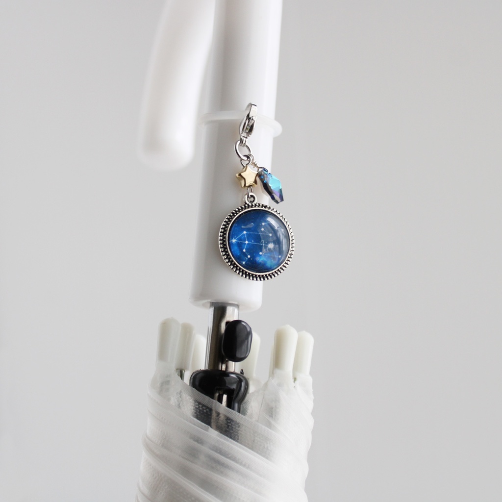 盗難防止に⭐︎チャームが外せる2Way☆12星座のアンブレラマーカー☆ 傘・ペットボトルの目印に