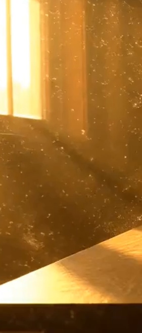 Light Poem — Cinematic Indoor Light Moments (3 Films / Dual Aspect)