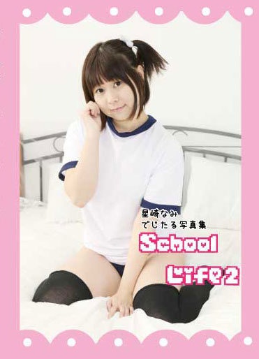 星崎なみコスプレCD-ROM 『School Life vol.2』