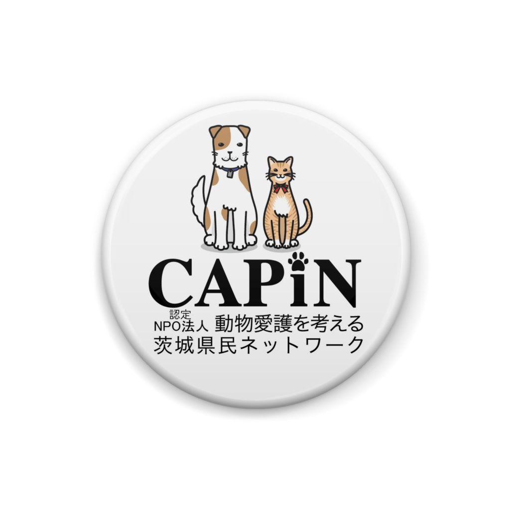 ããããð¶ã€ã³æ¯æŽãCAPINå
¬åŒããŽçŒ¶ãããž