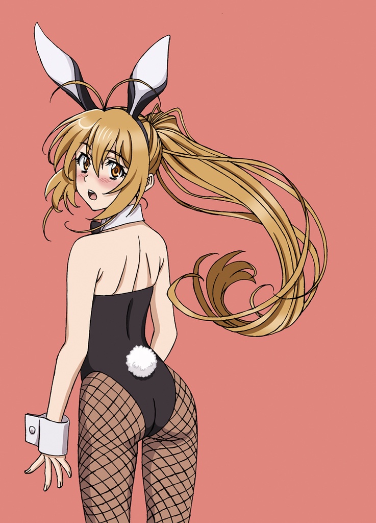 シュヴァルツェスマーケン アニメスタッフ本『Harasyu Schwarzesmarken Summer』