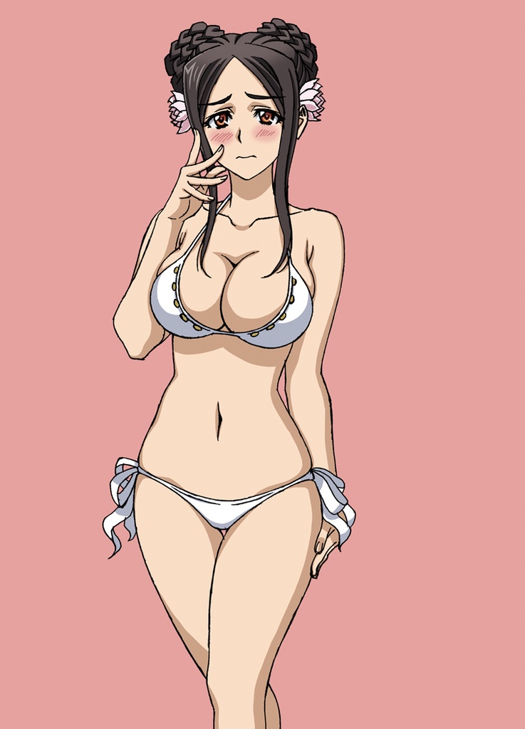 シュヴァルツェスマーケン アニメスタッフ本『Harasyu Schwarzesmarken Summer』