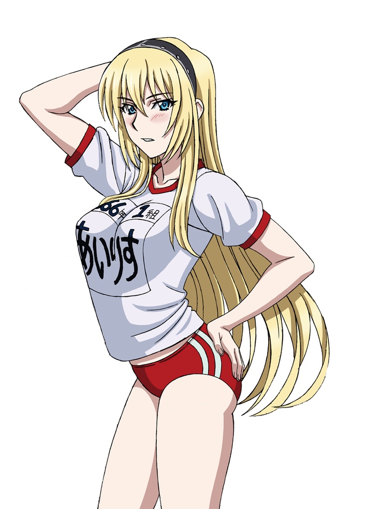 シュヴァルツェスマーケン アニメスタッフ本『Harasyu Schwarzesmarken Summer』