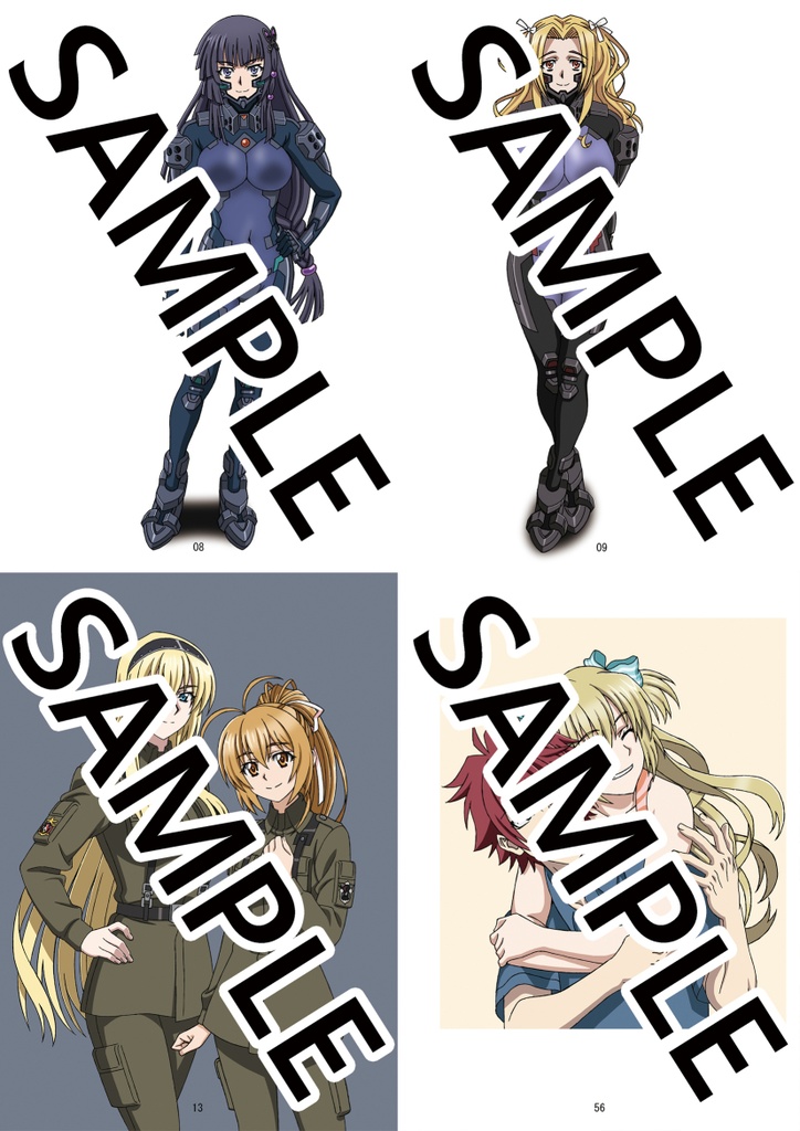 シュヴァルツェスマーケン アニメスタッフ本『Harasyu Schwarzesmarken Vier』