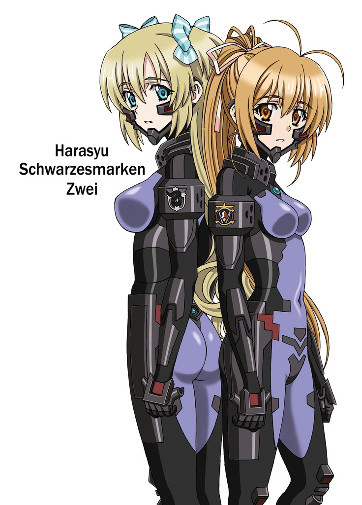 シュヴァルツェスマーケン アニメスタッフ本『Harasyu Schwarzesmarken Zwei』