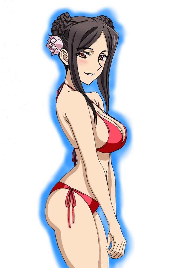 シュヴァルツェスマーケン アニメスタッフ本『Harasyu Schwarzesmarken Zwei』