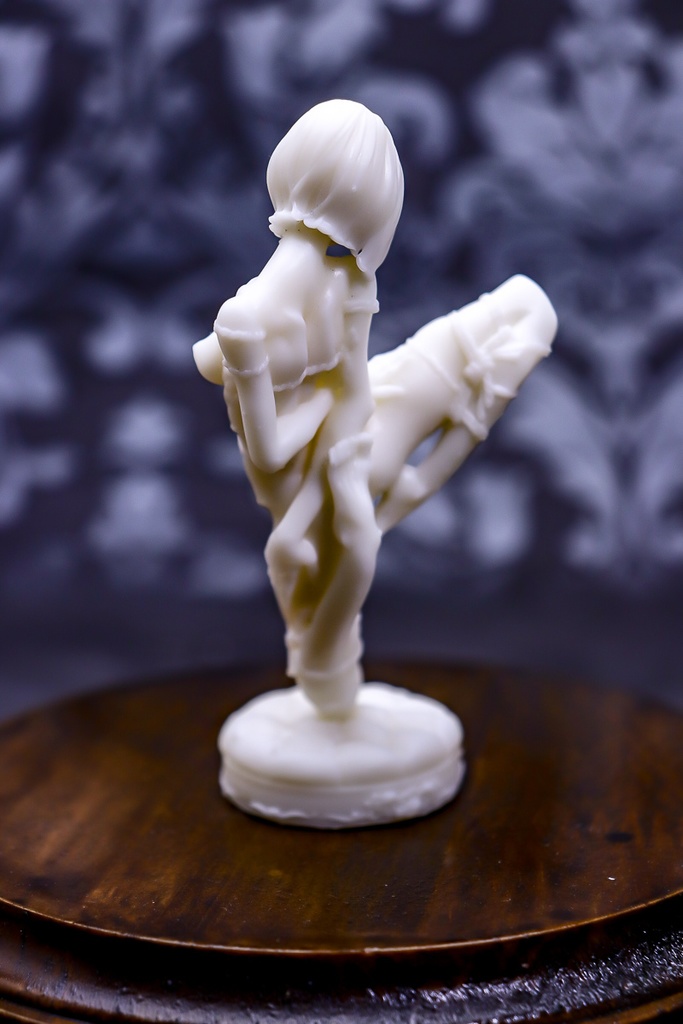 Unleash your repressed passion / STATUE (未塗装未組み立てガレージキット)