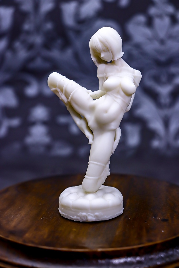 Unleash your repressed passion / STATUE (未塗装未組み立てガレージキット)