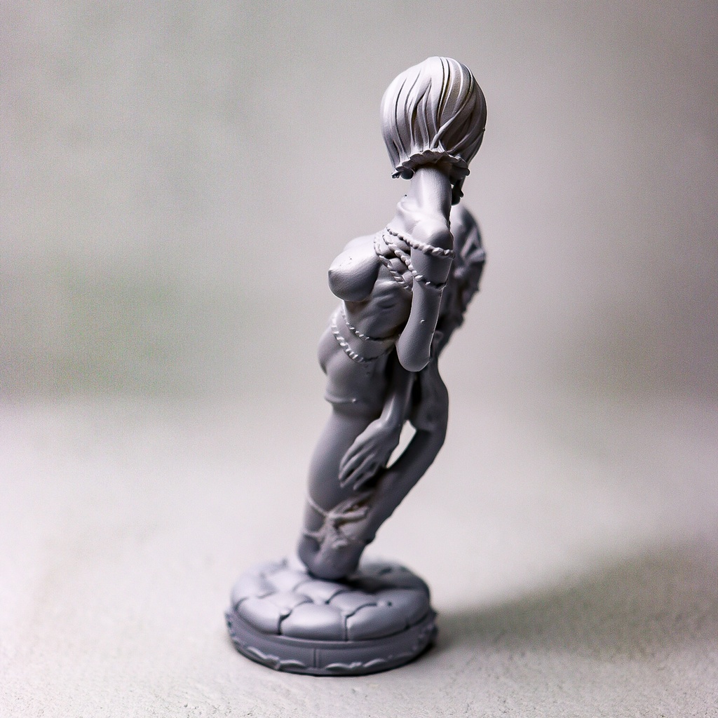 Unleash your repressed passion / STATUE (未塗装未組み立てガレージキット)