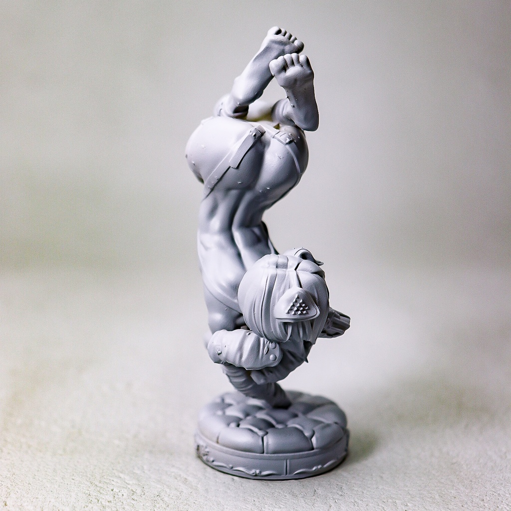 A little quiet, dog girl / STATUE (未塗装未組み立てガレージキット)