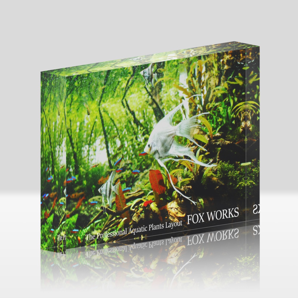 アクアリウムカットアウト01 水没林の花嫁