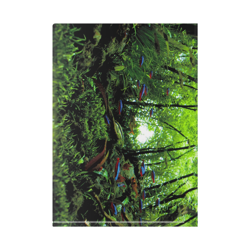 クリアファイル 水没林の花嫁(ウェディングエンゼル)