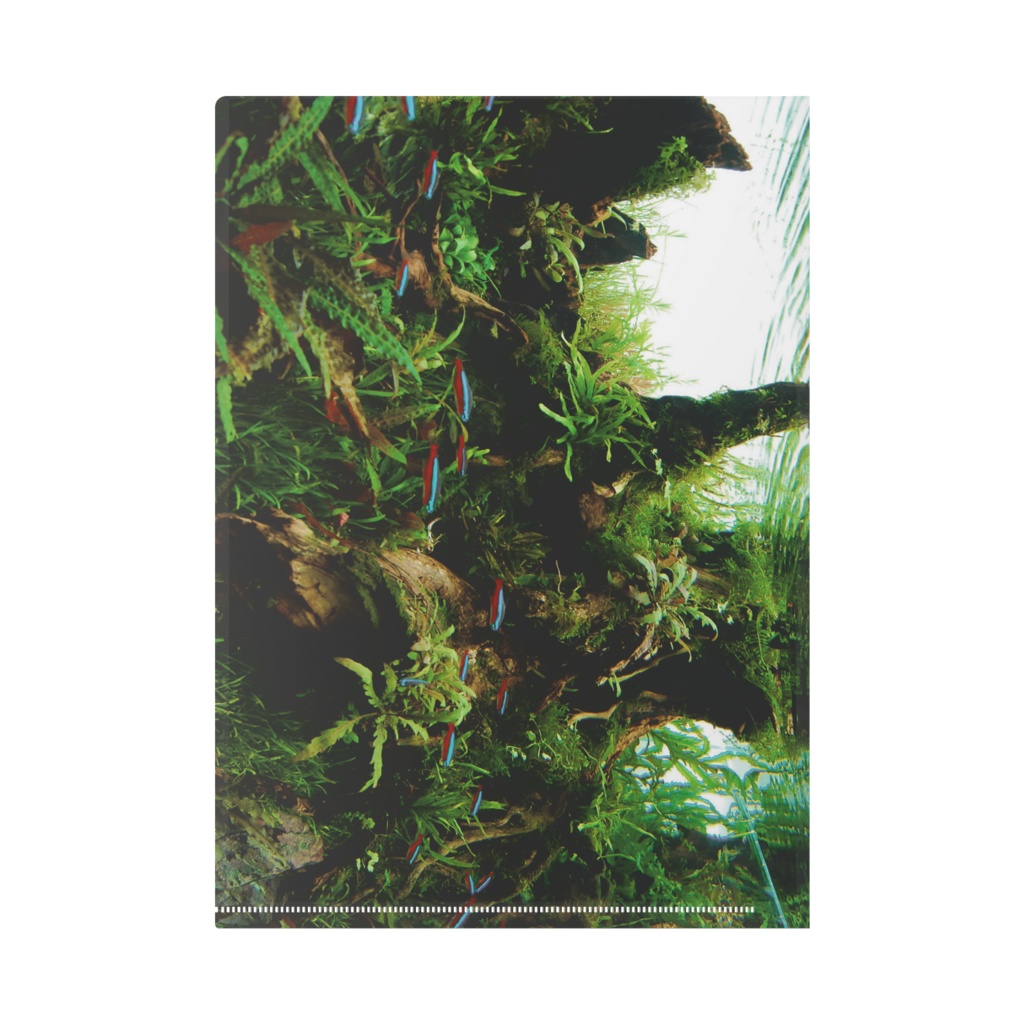 クリアファイル 水中のオアシス