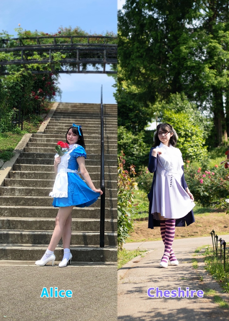 おひさまびより その5