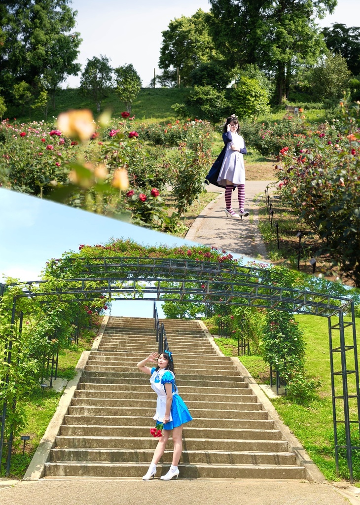 おひさまびより その5