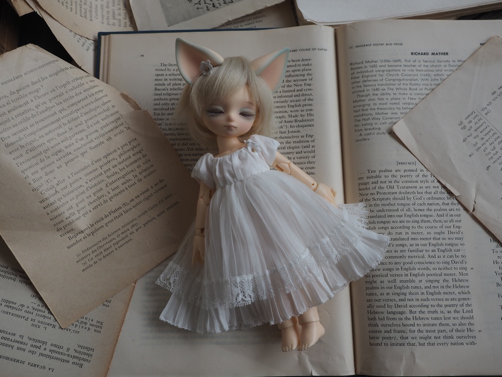 ロマンティックシュシュ dearmine DP、ブライス対応