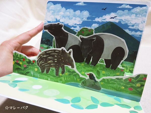 ポップアップカード