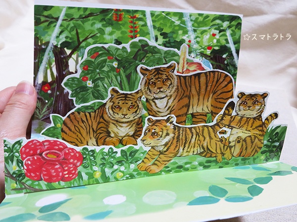 ポップアップカード