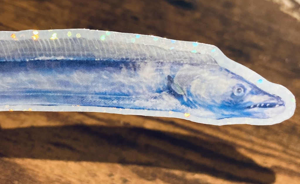 おさかな×しらたまさんステッカー