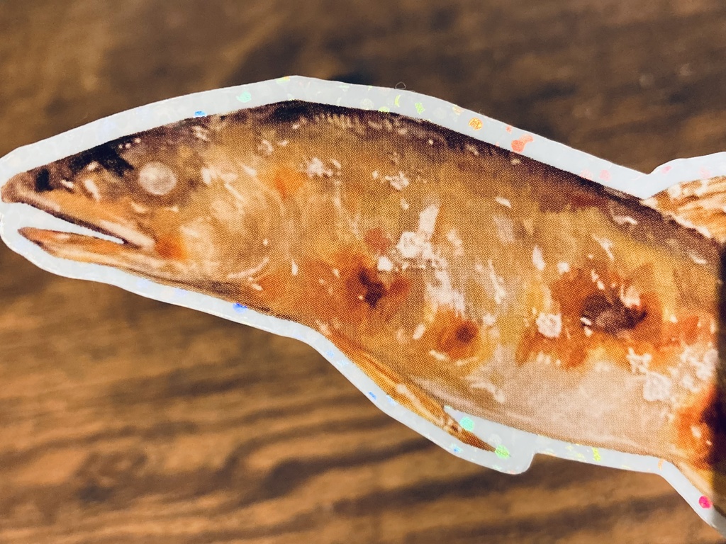 おさかな×しらたまさんステッカー