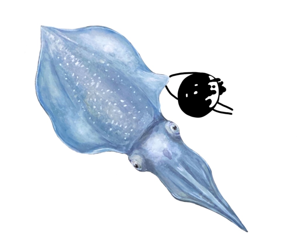 おさかな×しらたまさん アクリルキーホルダー