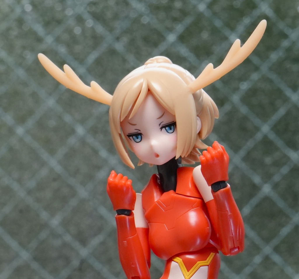 1/12 しかのツノ