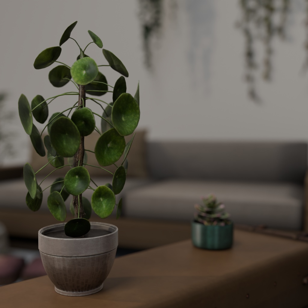 Furniture, Plants, & Decor Pack!!