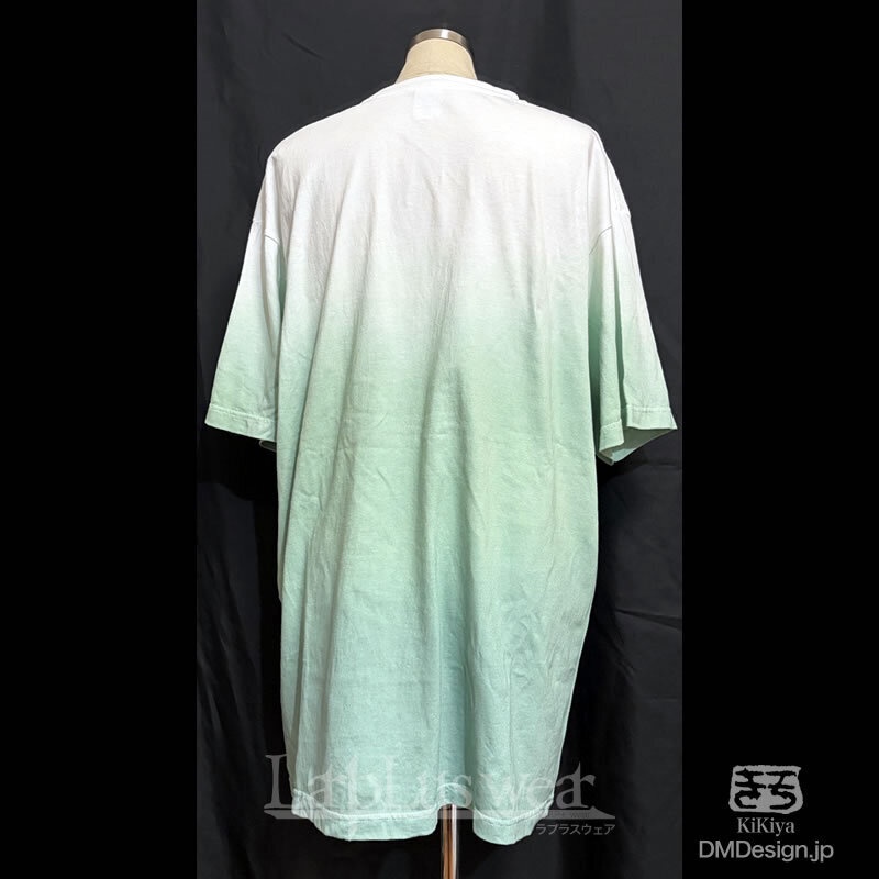 特注可能:(XL)手染め一点物「グラデーションTシャツ(長ネギグリーン)」(1-499)