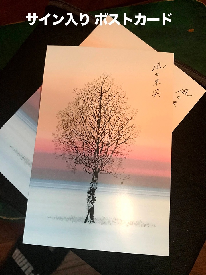 New 8th 清須邦義 - 風の果実