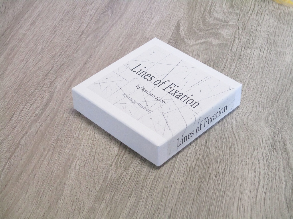 ラインズ・オブ・フィクセイション