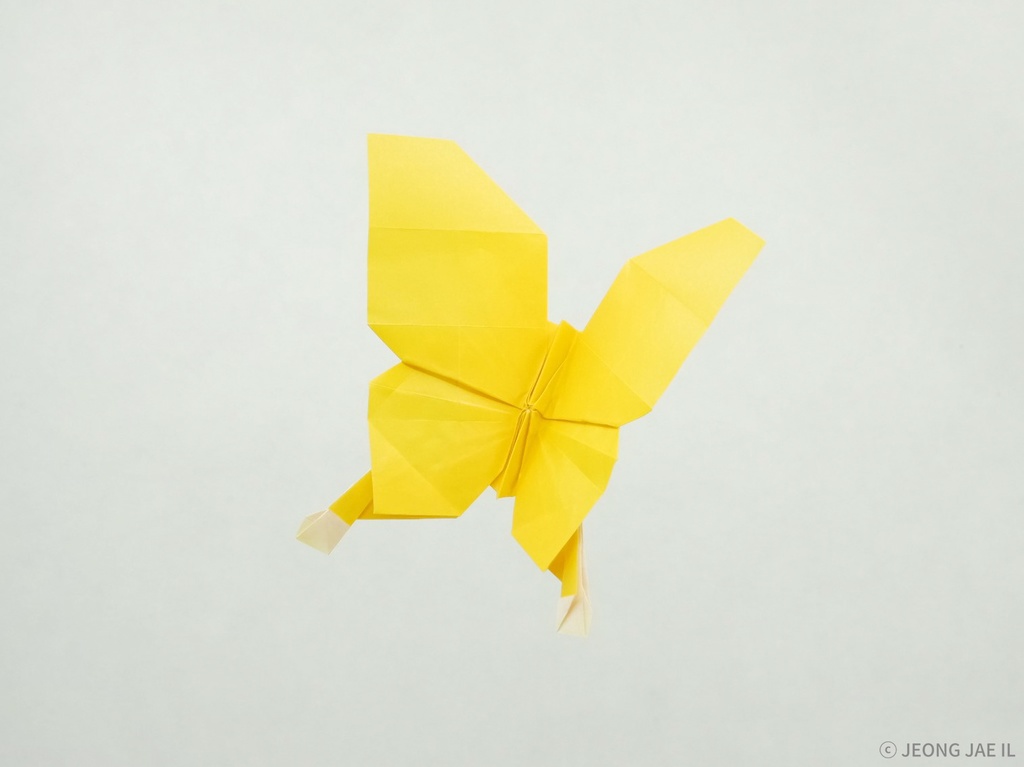 Diagram] Origami Butterfly