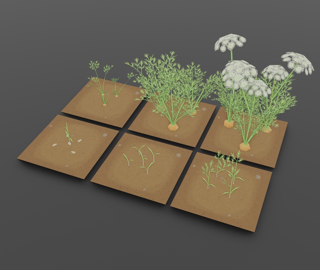 【無料セット】 ニンジン栽培・料理セット Free Carrot Growing and cooking set